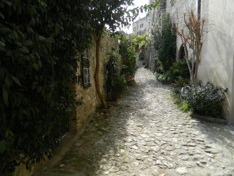 Casa Dell'Oliveto "Parcheggio Gratuito" Apartment Narni Exterior photo